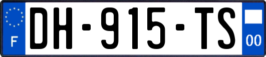 DH-915-TS