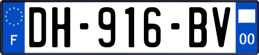 DH-916-BV