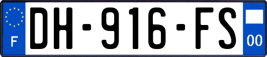 DH-916-FS