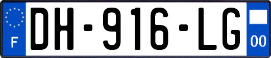 DH-916-LG