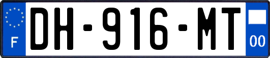 DH-916-MT
