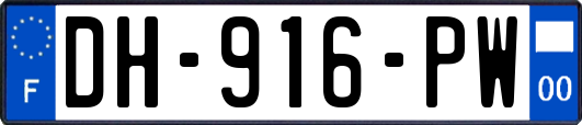 DH-916-PW