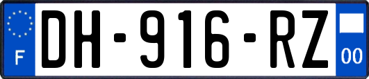 DH-916-RZ