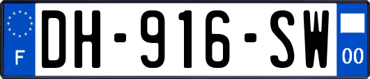 DH-916-SW