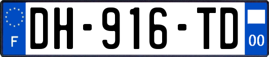 DH-916-TD