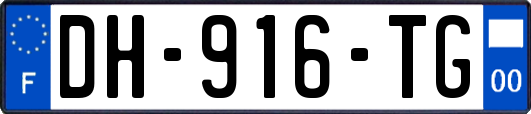 DH-916-TG