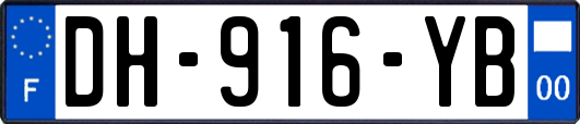 DH-916-YB