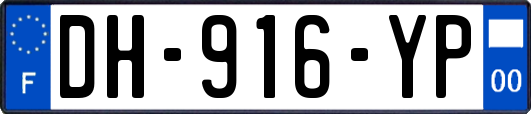 DH-916-YP