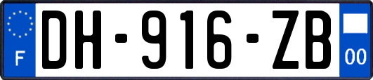 DH-916-ZB