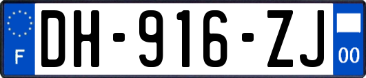 DH-916-ZJ