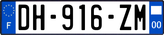 DH-916-ZM