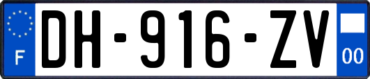 DH-916-ZV