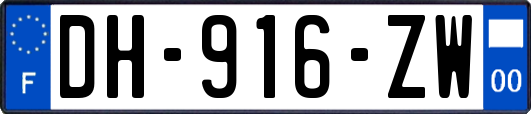 DH-916-ZW