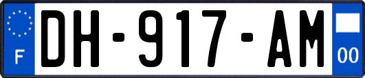 DH-917-AM