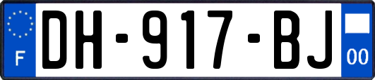 DH-917-BJ