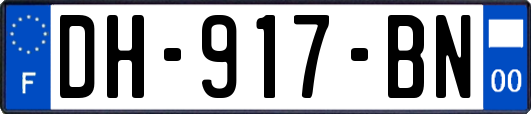 DH-917-BN