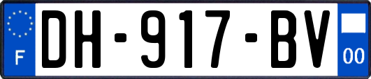 DH-917-BV