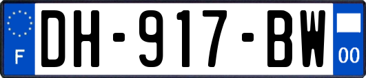 DH-917-BW