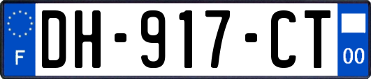 DH-917-CT