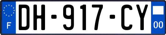 DH-917-CY