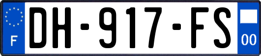 DH-917-FS