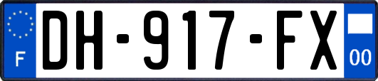 DH-917-FX