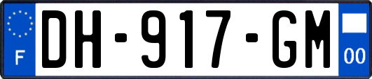 DH-917-GM