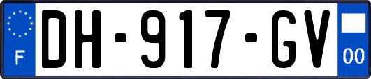 DH-917-GV