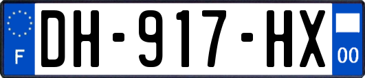 DH-917-HX