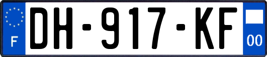 DH-917-KF