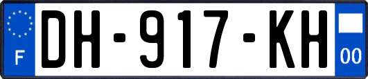DH-917-KH
