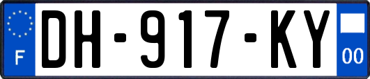 DH-917-KY