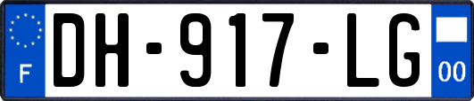 DH-917-LG