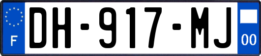 DH-917-MJ