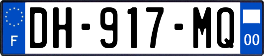 DH-917-MQ