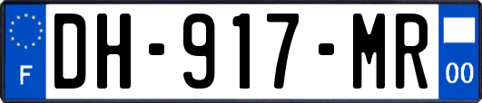 DH-917-MR