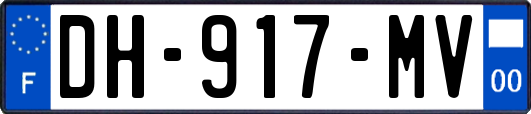 DH-917-MV