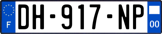 DH-917-NP