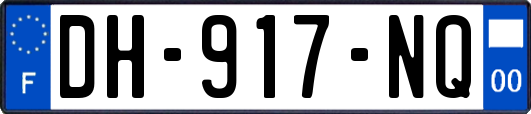 DH-917-NQ