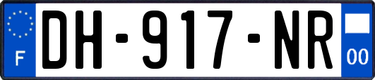 DH-917-NR