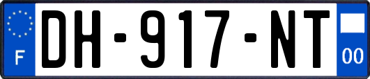 DH-917-NT