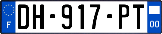 DH-917-PT