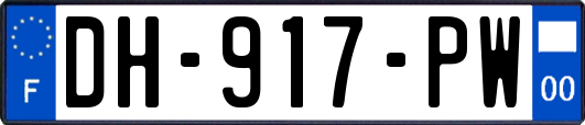 DH-917-PW