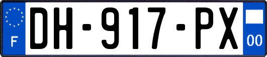 DH-917-PX
