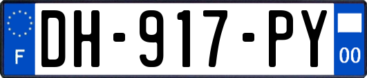 DH-917-PY