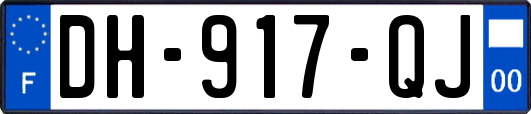 DH-917-QJ
