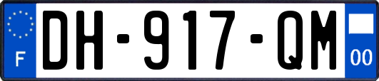 DH-917-QM