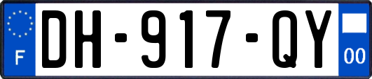 DH-917-QY