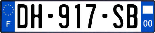 DH-917-SB