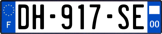 DH-917-SE